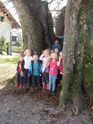 Kliknite za ogled večje slike