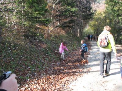 Kliknite za ogled večje slike