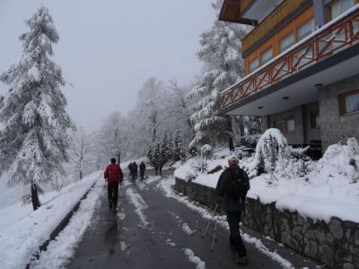 Kliknite za ogled večje slike