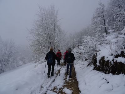 Kliknite za ogled večje slike