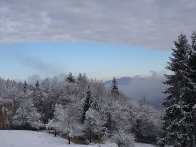 Kliknite za ogled večje slike
