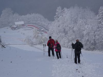 Kliknite za ogled večje slike
