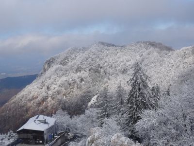 Kliknite za ogled večje slike