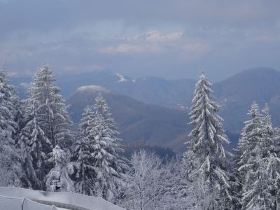 Kliknite za ogled večje slike