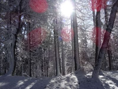 Kliknite za ogled večje slike