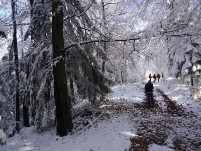 Kliknite za ogled večje slike
