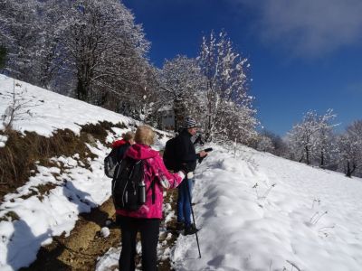Kliknite za ogled večje slike