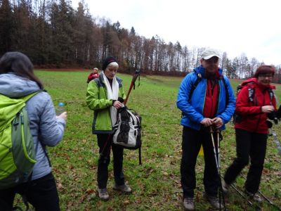 Kliknite za ogled večje slike