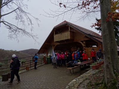 Kliknite za ogled večje slike