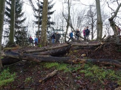 Kliknite za ogled večje slike