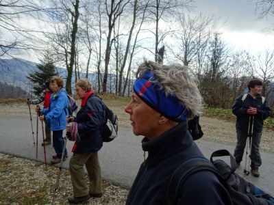 Kliknite za ogled večje slike