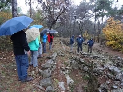Kliknite za ogled večje slike