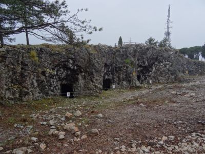 Kliknite za ogled večje slike