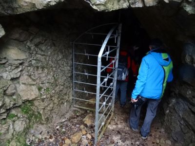 Kliknite za ogled večje slike