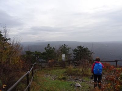 Kliknite za ogled večje slike