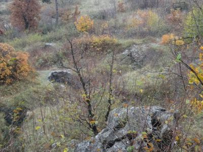 Kliknite za ogled večje slike