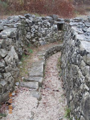 Kliknite za ogled večje slike