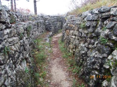 Kliknite za ogled večje slike