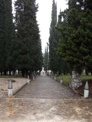 Kliknite za ogled večje slike