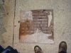 DSC04204.JPG