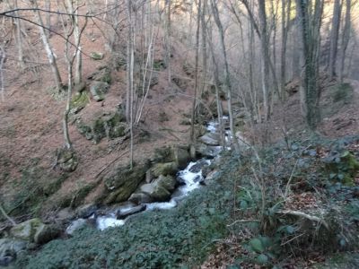 Kliknite za ogled večje slike