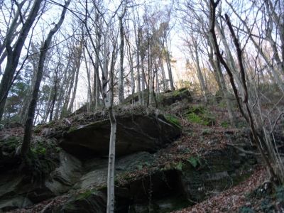 Kliknite za ogled večje slike