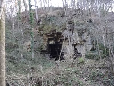 Kliknite za ogled večje slike