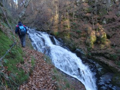 Kliknite za ogled večje slike