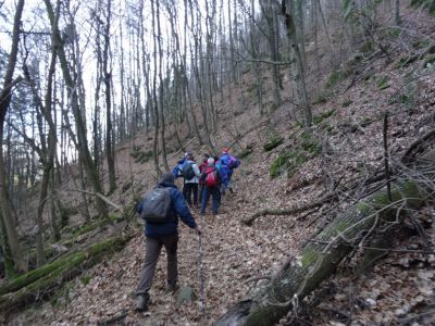 Kliknite za ogled večje slike