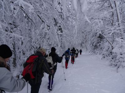 Kliknite za ogled večje slike