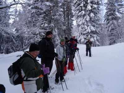 Kliknite za ogled večje slike
