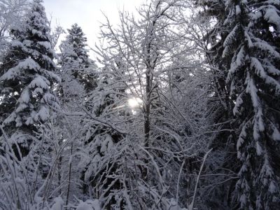 Kliknite za ogled večje slike