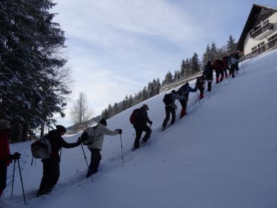 Kliknite za ogled večje slike