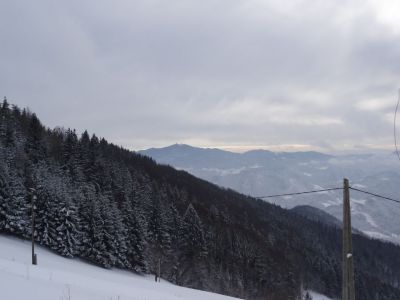 Kliknite za ogled večje slike