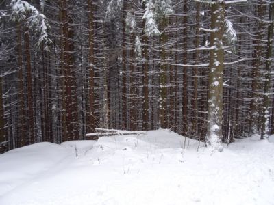 Kliknite za ogled večje slike