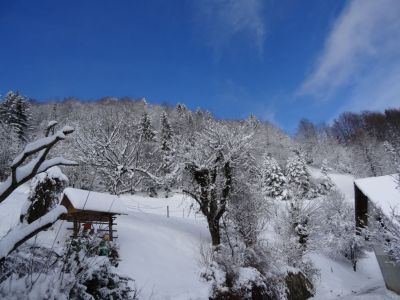 Kliknite za ogled večje slike