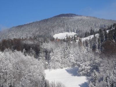 Kliknite za ogled večje slike