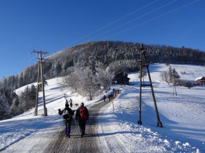 Kliknite za ogled večje slike