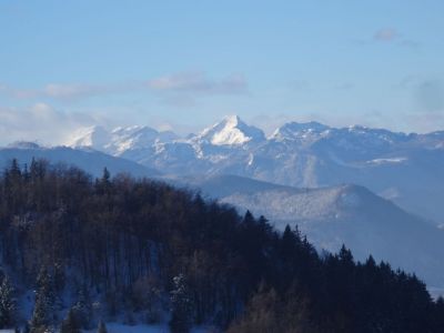 Kliknite za ogled večje slike