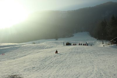 Kliknite za ogled večje slike