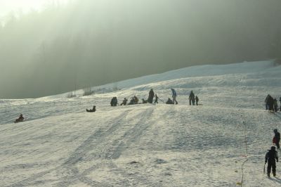 Kliknite za ogled večje slike