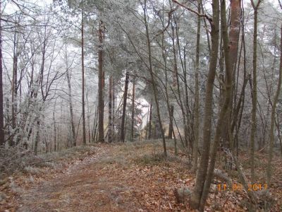 Kliknite za ogled večje slike