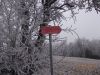 DSCN5095.JPG
