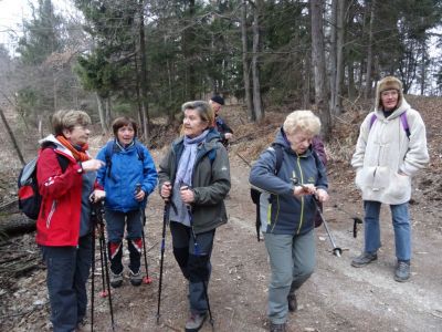 Kliknite za ogled večje slike