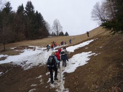 Kliknite za ogled večje slike