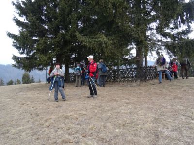 Kliknite za ogled večje slike