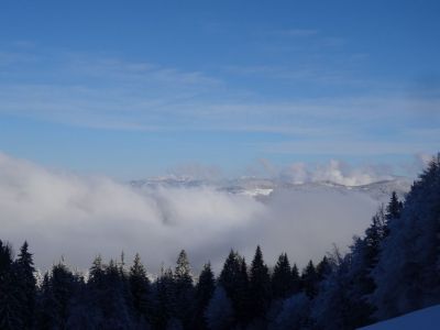 Kliknite za ogled večje slike
