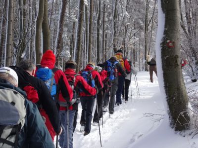 Kliknite za ogled večje slike