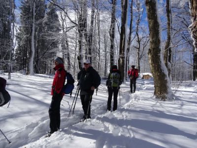 Kliknite za ogled večje slike