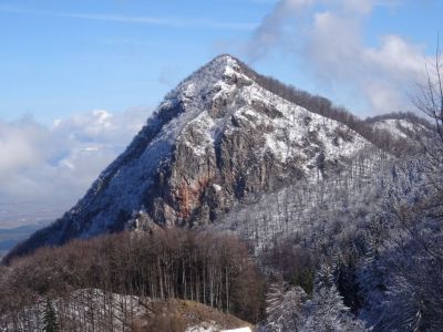 Kliknite za ogled večje slike